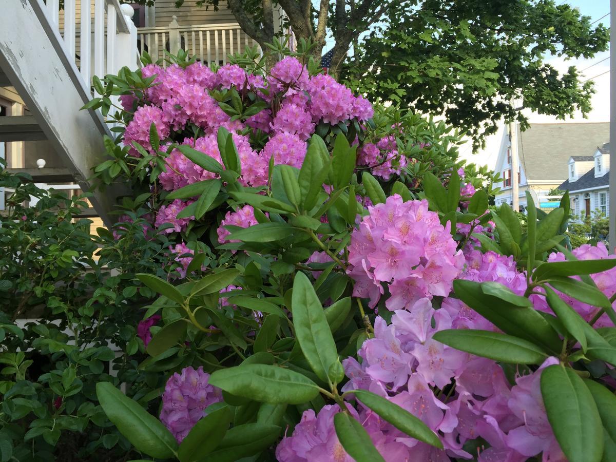 Watership Inn Provincetown Dış mekan fotoğraf